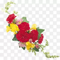 花卉设计康乃馨切花玫瑰花