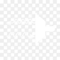 纸白线图案线