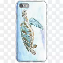 海龟iphone 6加三星星系S5-海龟