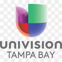 Univision通信WGBO-DT徽标业务-业务