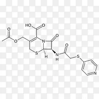头孢唑啉头孢噻肟头孢菌素药物-EN 2061