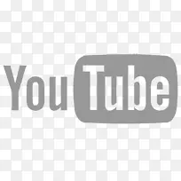维亚康姆国际公司五.YouTube公司Youtube高级电视视频-Alexa
