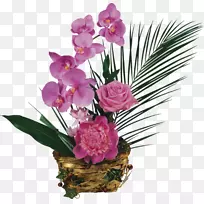 生日祝福-生日礼物