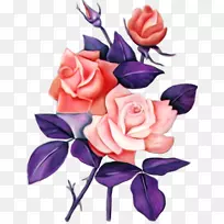 花园玫瑰，纸花，花设计，剪贴画.花