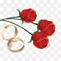 花园玫瑰订婚戒指花-花