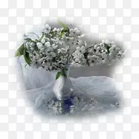 花盆花瓶