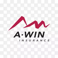 A-win保险有限公司保险代理业务财产保险-团队胜利