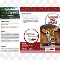 牛山羊手册动物福利协会-山羊