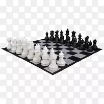 棋子棋盘游戏国际象棋