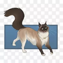 胡须猫艺术画猫