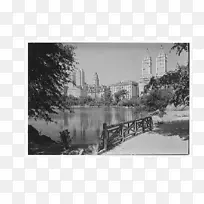 图片框收藏摄影白色中央公园