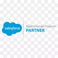 Salesforce.com客户关系管理伙伴关系业务-合作项目