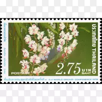 邮票泰国摄影邮件-石斛