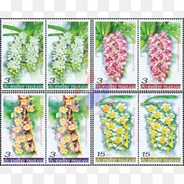花卉设计动物邮票.设计