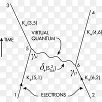 QED：光和物质的奇怪理论Feynman图量子电动力学物理-空间