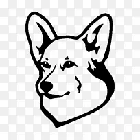 犬种彭布罗克威尔士科吉小狗达克斯犬波士顿猎犬-小狗