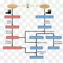 计算基因组学计算生物学研究生物信息学工作流程