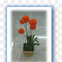 人工花盆植物花瓣-花