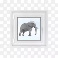 印度象非洲象纹身