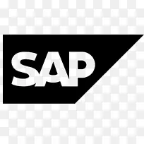 SAP erp sap se计算机图标sap执行sap s/4 hana-sap