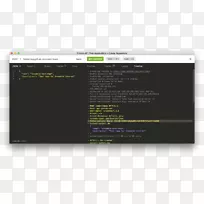 计算机程序node.js javascript调试器-GitHub
