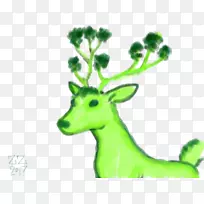 驯鹿鹿茸绿叶植物茎-驯鹿