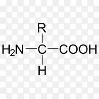 羧酸氨基酸碳胺氨基