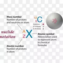 中子数原子核-核素