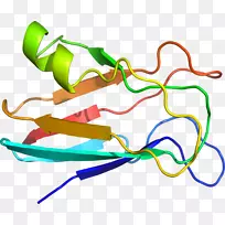 线点生物剪贴画线