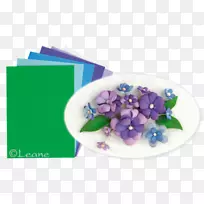 蓝紫花雄蕊颜色紫罗兰花