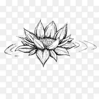 线条艺术对称素描-花
