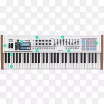 ARP 2600 Arturia声音合成器MIDI键盘MIDI控制器.乐器