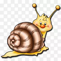 蜗牛画动物剪贴画-蜗牛