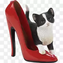 猫高跟鞋鼻子猫
