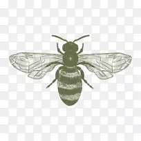 蜜蜂陶器陶瓷昆虫-蜜蜂