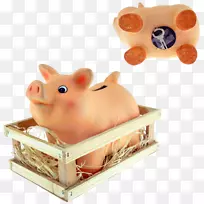 家猪，储蓄箱，猪