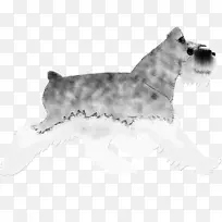 小型雪纳瑞莱克兰猎犬凯恩猎犬格伦塞斯基猎犬盐胡椒