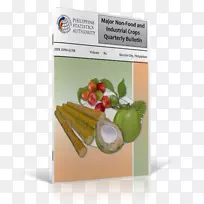天然食品超级食品水果国际食品