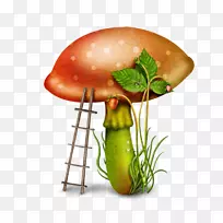 蘑菇下载剪辑艺术-蘑菇