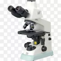 尼康仪器倒置显微镜望远镜显微镜