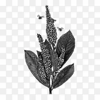 蜜蜂艺术版画-蜜蜂
