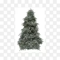诺德曼杉木人工圣诞树-圣诞树