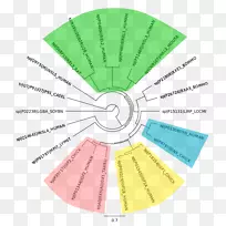 线角材料图-线