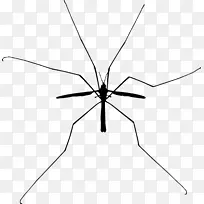 蚊虫飞蝇夹艺术-蚊子