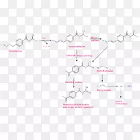 线点角字体线