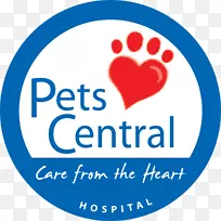 猫兽医宠物狗PC公司总部-猫