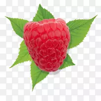 草莓红覆盆子Driscoll‘s-草莓
