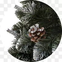 杉木云杉圣诞装饰松树-圣诞节