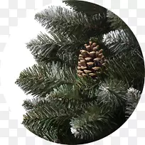 云杉，松木，圣诞节装饰圣诞树-圣诞树