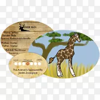长颈鹿，马，野生动物，陆生动物-长颈鹿